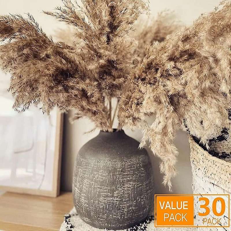 17.72inch Dried Pampas Decor Fluffy Pampas Grass 30 Stems Small Pampas Bulk Natural Pampas Grasses