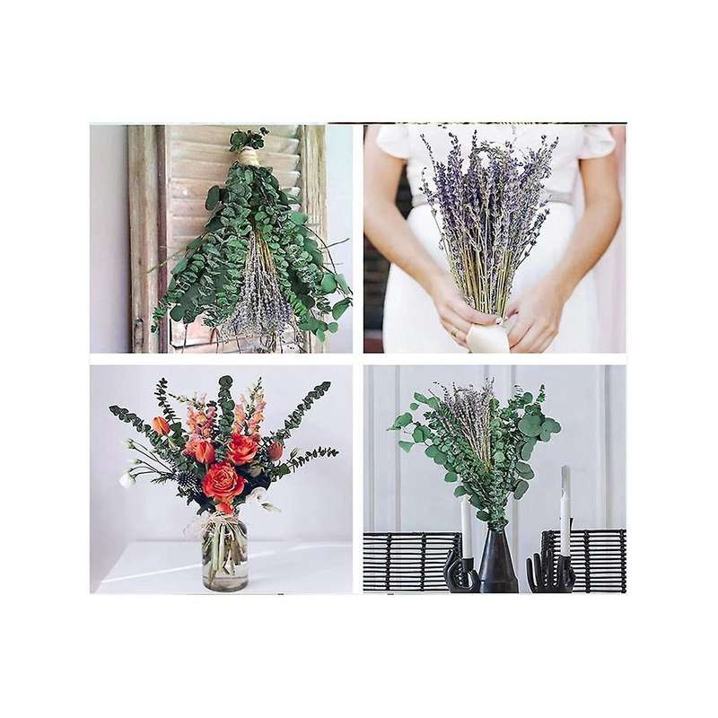 17 Inch Natural Real Eucalyptus Leaves Shower Decor Home Decor Aromatic Lavender Shower Plant
