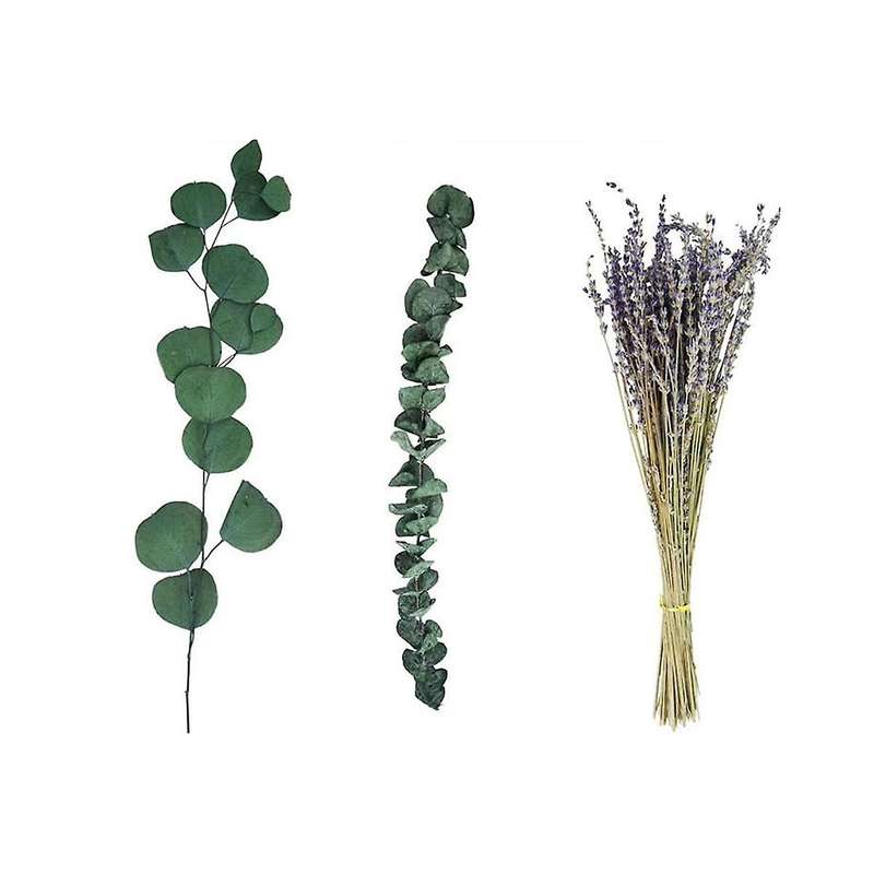 17 Inch Natural Real Eucalyptus Leaves Shower Decor Home Decor Aromatic Lavender Shower Plant