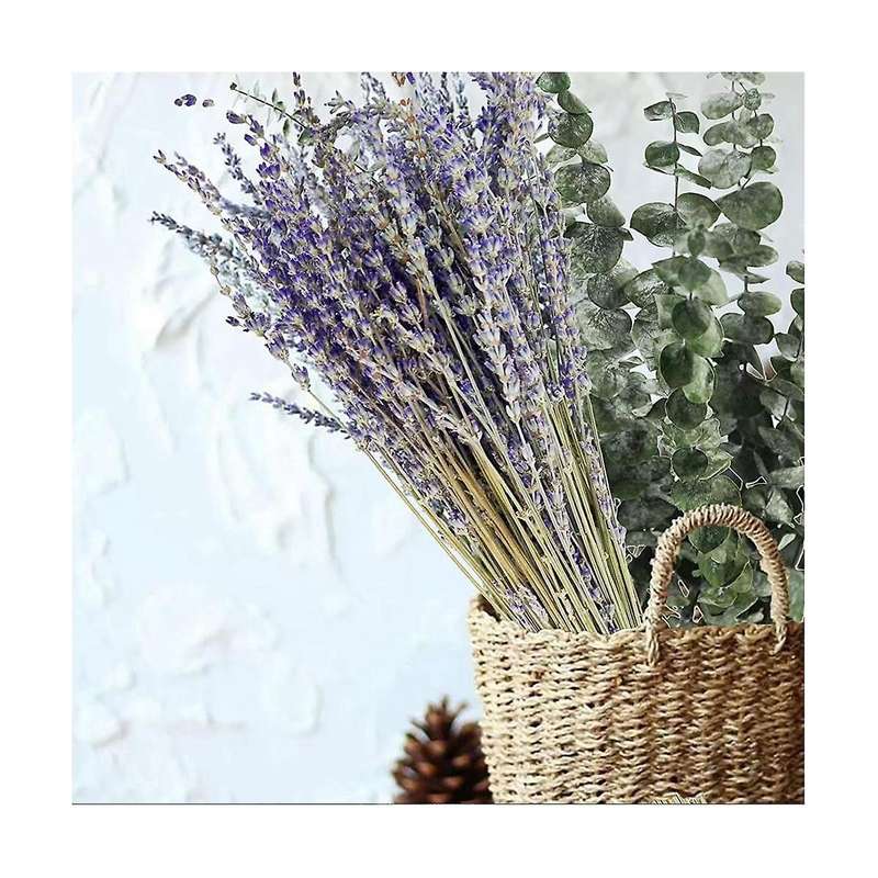 17 Inch Natural Real Eucalyptus Leaves Shower Decor Home Decor Aromatic Lavender Shower Plant