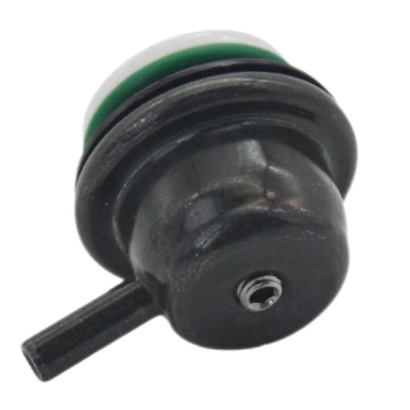 17113203,89017453, 89060420, 89060422 Fuel Pressure Regulator Module for