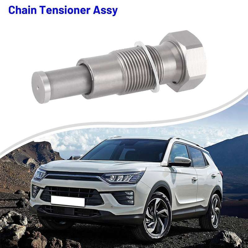 1720500011 Car Chain Tensioner Assy for Korando