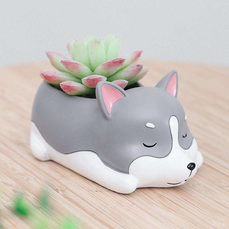 1Pcs Resin Cartoon Dog Succulent Cactus Planter Pot, Decorative Garden Flower Holder Cartoon Dog fo