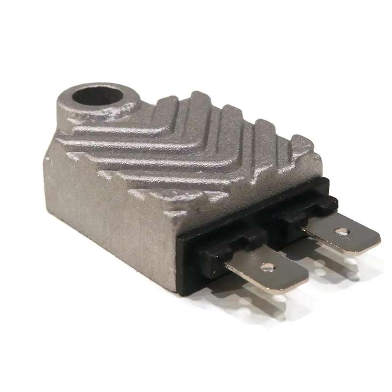 1Set Ignition Module Kit for for Most 2 & 4 Cycle Engine 21119-2161, 211192161, 21119-2095, 21119209