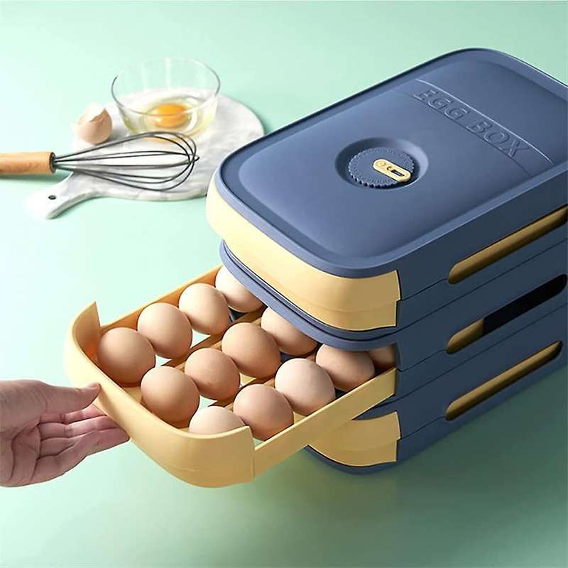 2 Pack Egg Storage Box,Refrigerator Egg Trays Egg Holder Container with Date Reminder,for Kitchen S