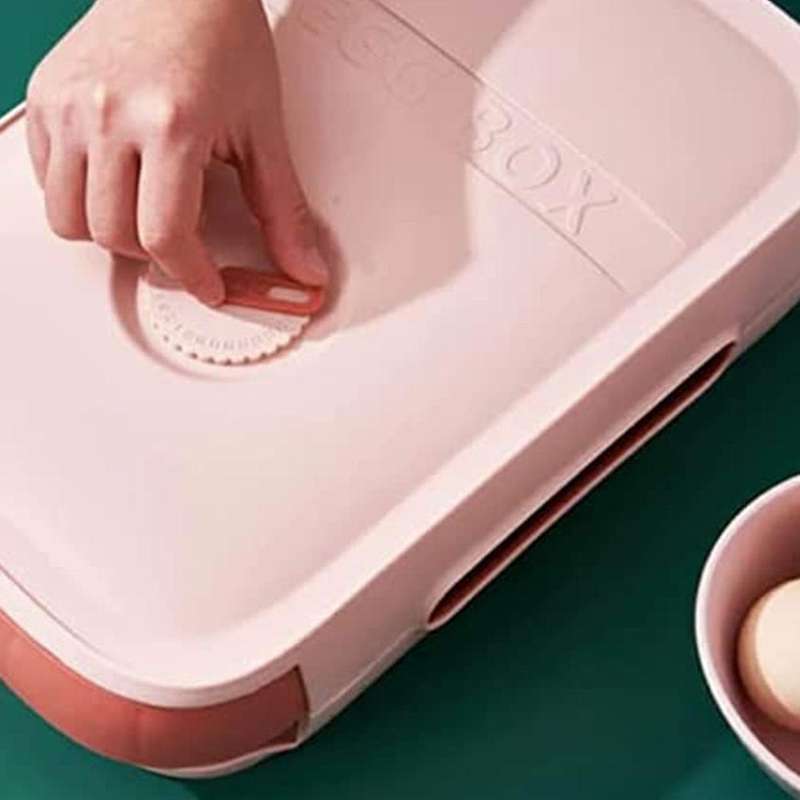 2 Pack Egg Storage Box,Refrigerator Egg Trays Egg Holder Container with Date Reminder,for Kitchen S