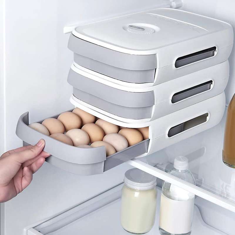 2 Pack Egg Storage Box,Refrigerator Egg Trays Egg Holder Container with Date Reminder,for Kitchen S