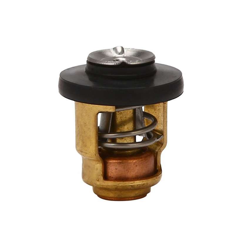 2 Pcs 6E5-12411-00 6E5-12411-02 6E5-12411-10 Boat Engine Thermostat for for Outboard Motor Engine P
