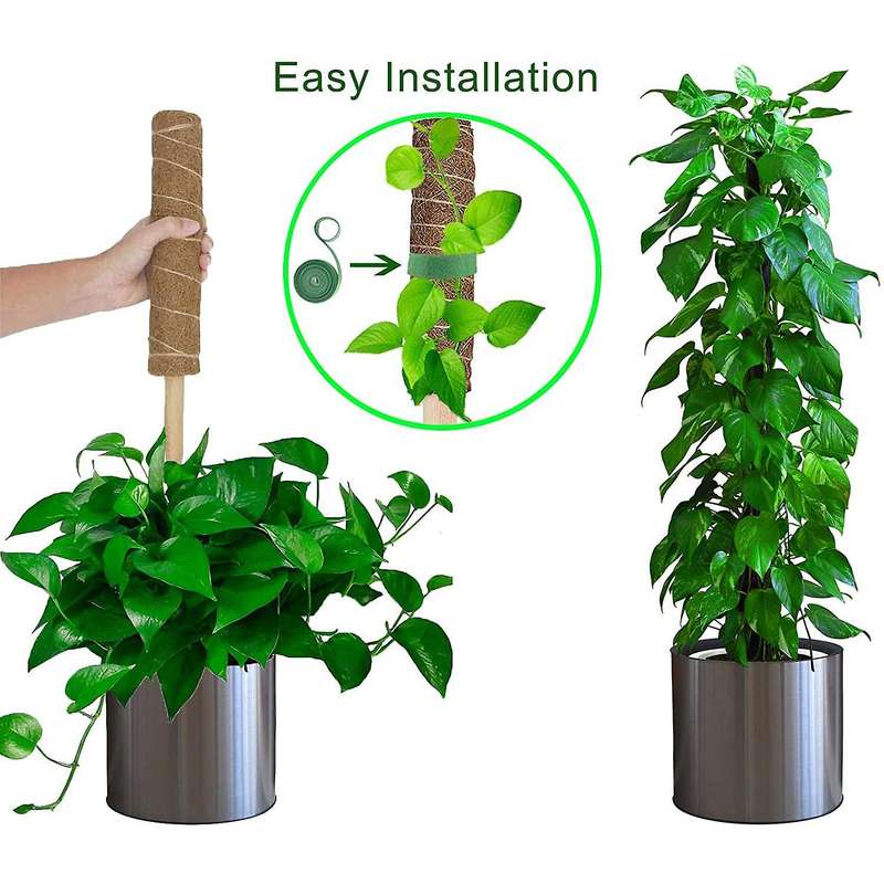2 Pcs Coir Moss Pole Plant Support Stakes for Indoor Climbing Plants Support with 13 Feet Garden Su