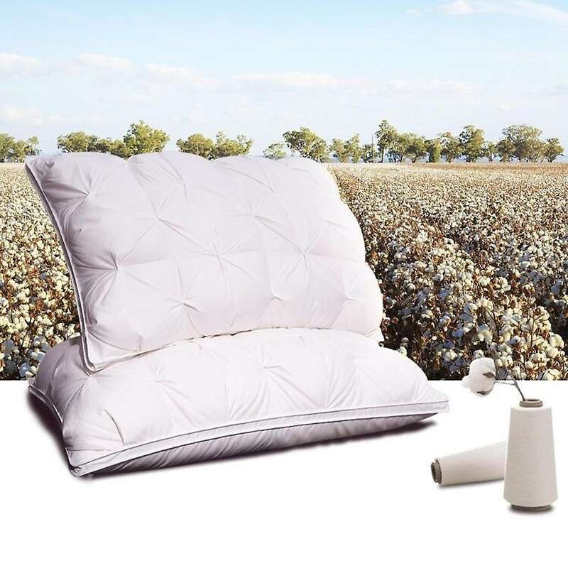 2 Pcs Down Feather Pillow Cotton Frosted Thickened Cervical Pillow Five-Star Hotel Sleep Pillow Feat