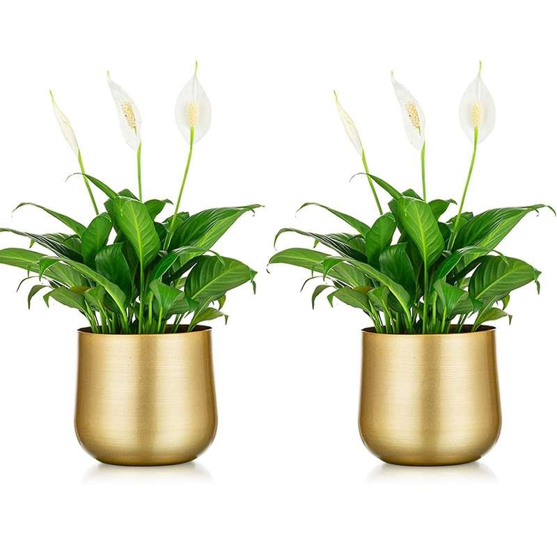 2 Pcs Flower Vases for Table Gold Vases Wedding Tabletop Planter Flower Pot with Drainage Hole for H