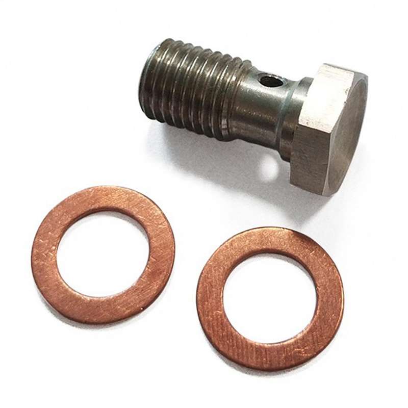 2 Pcs M10x1.25 Stainless Steel Bolts Brake Hose Line Fitting Adapter with 4 Pce M10 Copper Washers