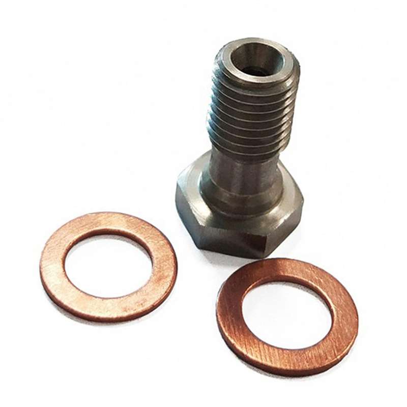 2 Pcs M10x1.25 Stainless Steel Bolts Brake Hose Line Fitting Adapter with 4 Pce M10 Copper Washers