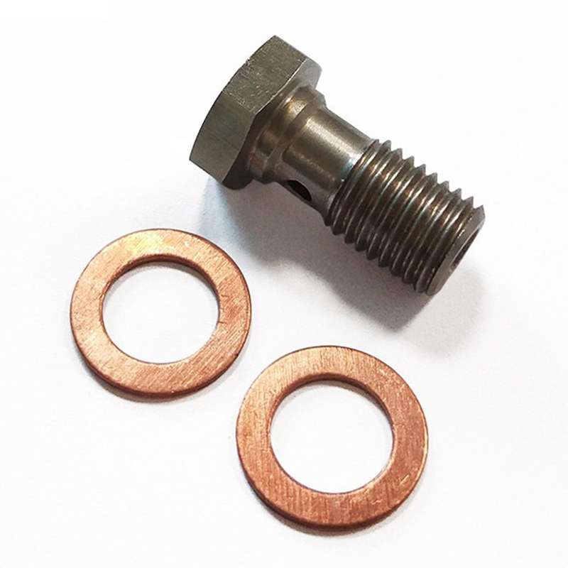 2 Pcs M10x1.25 Stainless Steel Bolts Brake Hose Line Fitting Adapter with 4 Pce M10 Copper Washers