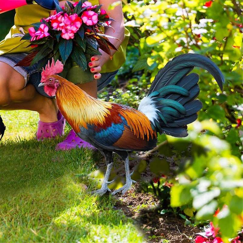 2 Pieces Acrylic Colorful Rooster Lawn Stakes Outdoor Farm Garden Animal Chicken Statues Yard Art De