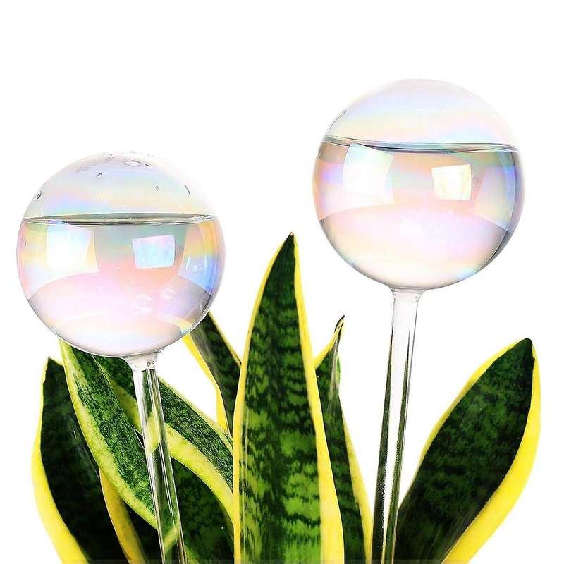 2 Weeks Extra Plant Self Watering Globes, Light Color Glass Water Bulbs for Indoor Plants Vacation W