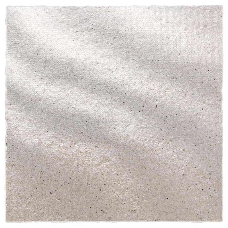 2 x Replacement 12 x 12 cm Plate Mica for Microwave