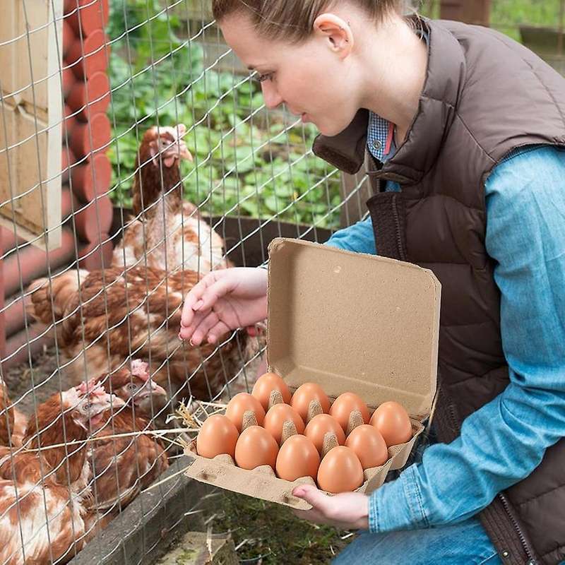 20 Pack Egg Cartons, Paper Pulp Square Egg Cartons Eggs, Egg Cartons Container Empty Egg Tray Pulp E