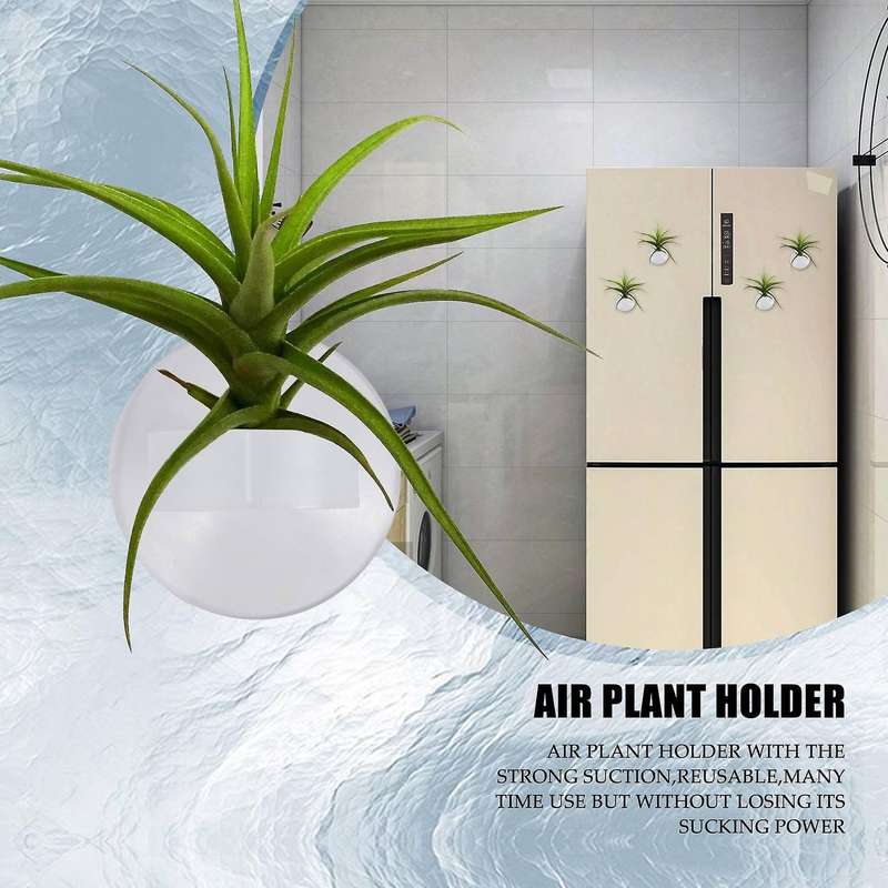 20 Pcs Plant Holder, Plant Pot Tillandsia Holder Plant Hanger with Suction Cup for Hanging (Plants
