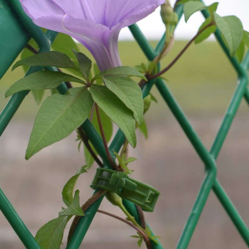200 Pcs Garden Support Clips, Tomato Clips, Trellis Clips, for Cucumber Flower Squash Vine, 1 Inch