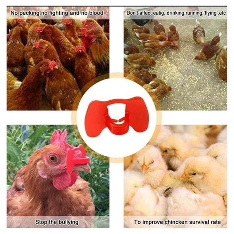 200 Pieces of Glasses for Preventing Chicken Pecking, Anti-Fighting Goggles, Non-Stick Chicken Glas