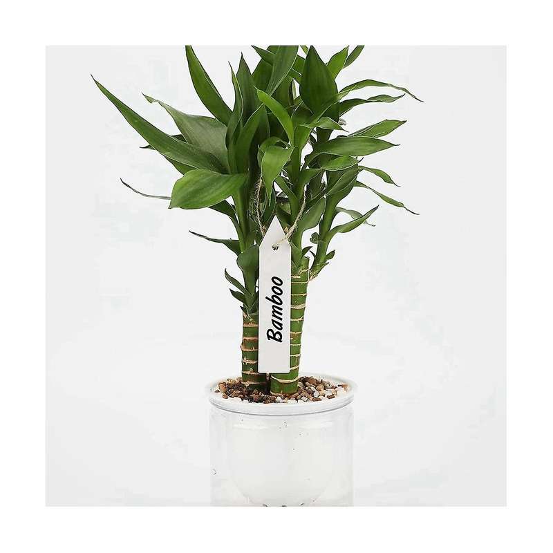 200 Pcs Plastic Plant Nursery Garden Labels Garden Stake Tags White 10x2cm