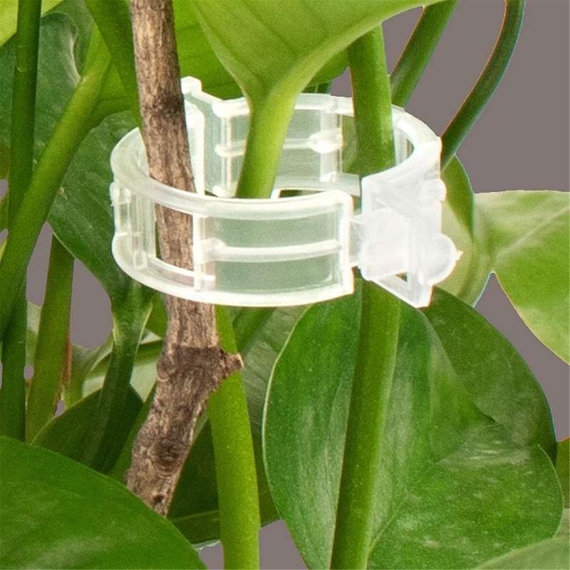 2000Pcs Garden Clips for Vine , Climbing Plants, Flowers - Easy to Use, Disposable and
