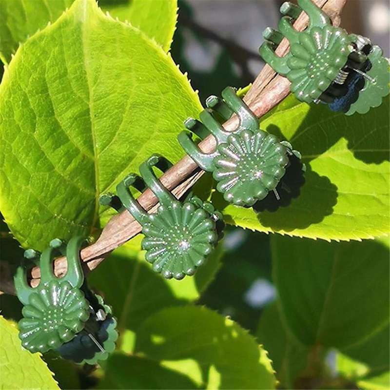 200PCS Orchid Clips Plant Support Clips, Secured Plastic Plant Clip Garden Tomato Plant Support Ste