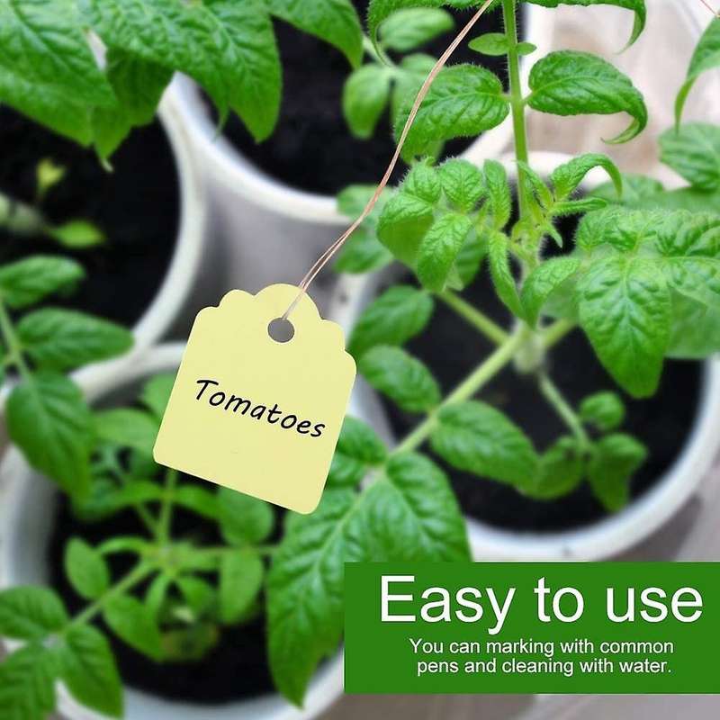 200Pcs Plant Hanging Tag Waterproof Plastic Labels Reusable Garden Markers Blank Nursery Seed Name