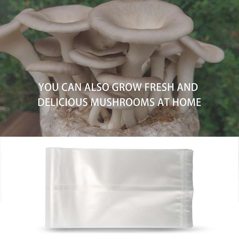 20pcs Mushroom Growing Bag Mushroom Bags Thick 6 Bags 10inch X 20inch 0.2 Micrometre Filter Breatha