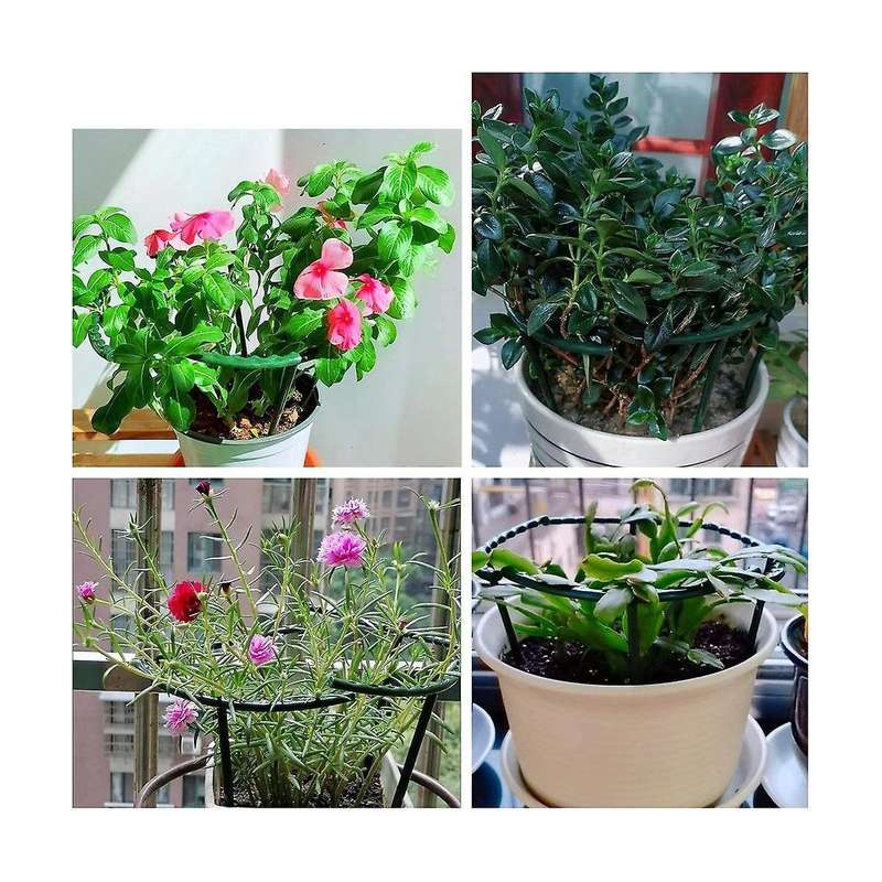 20PCS Plant Support Pile Frame Greenhouse Arrangement Semicircle Fixed Rod Indoor Flower Plant Vine