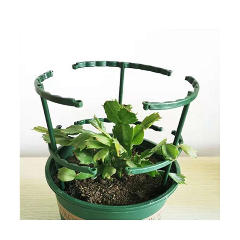 20PCS Plant Support Pile Frame Greenhouse Arrangement Semicircle Fixed Rod Indoor Flower Plant Vine
