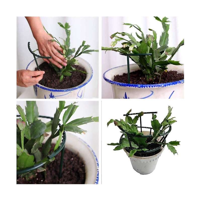 20PCS Plant Support Pile Frame Greenhouse Arrangement Semicircle Fixed Rod Indoor Flower Plant Vine
