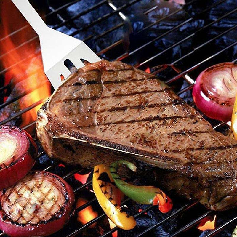 21 Pcs Outdoor BBQ Tools Set Stainless Steel Grill Barbecue Utensil Set Case for Camping -Cooking Ac