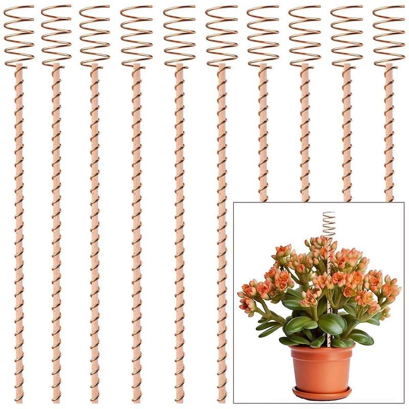 Copper Wire Coil for Electric Plant Staking and Horticulture Nursery Planting - 348.7g