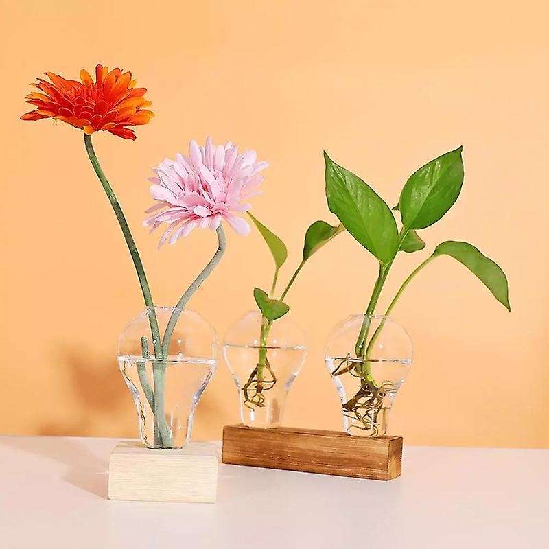 Crystal Glass Planter with Wooden Stand Hydroponics Plants Bulb Desktop Terrarium Flower Vase Home