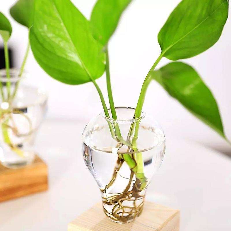 Crystal Glass Planter with Wooden Stand Hydroponics Plants Bulb Desktop Terrarium Flower Vase Home