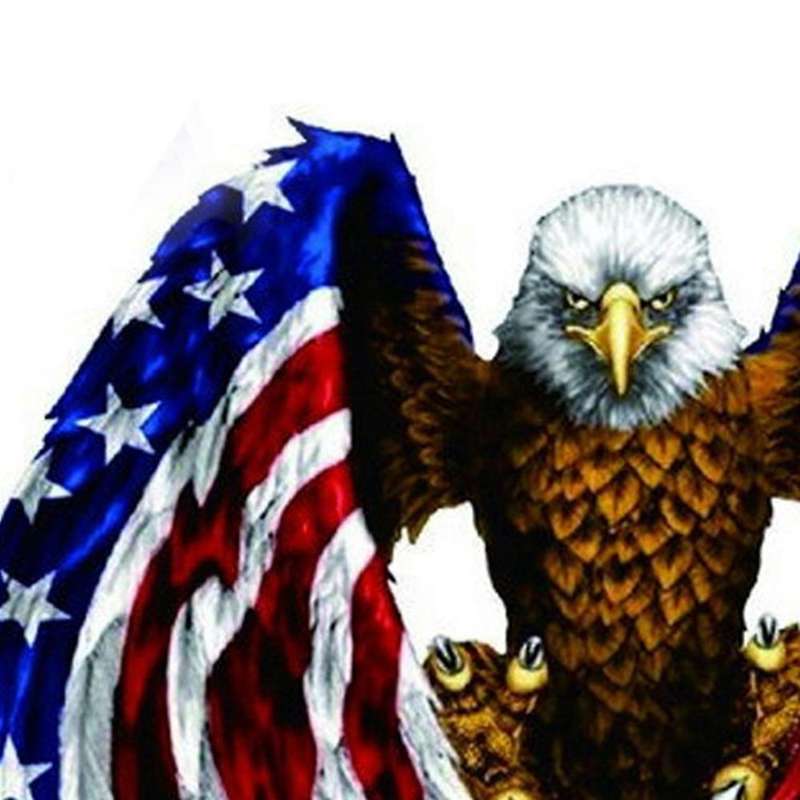Decal sticker for Car motorcycle eagle with USA flag