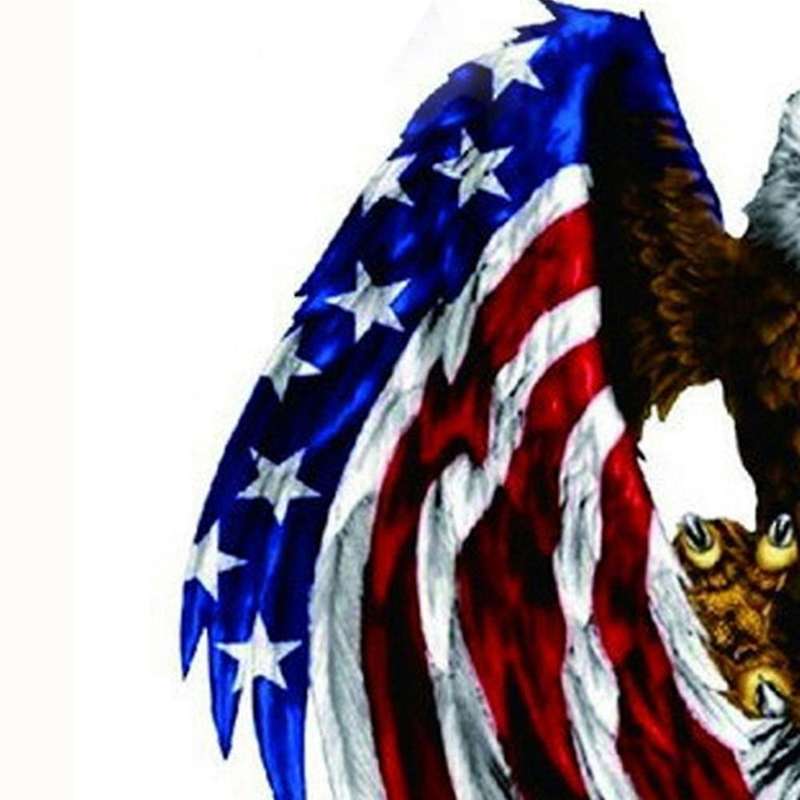 Decal sticker for Car motorcycle eagle with USA flag