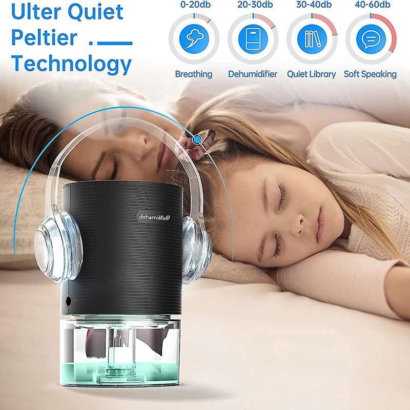 Dehumidifier for Damp Portable and Ultra Quiet Small Dehumidifier with Visual Water Tank for Basemen
