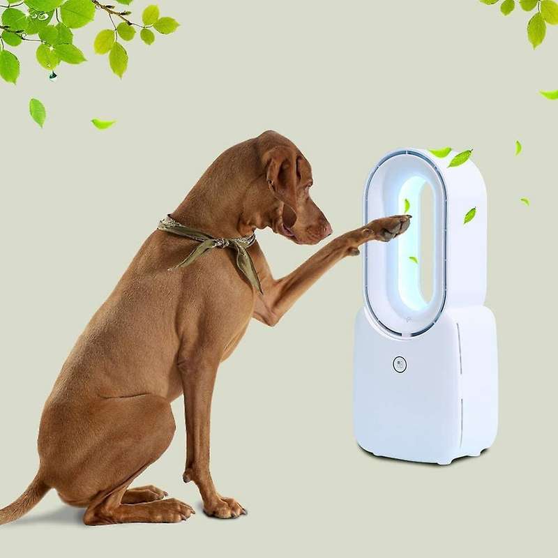 Desk Fan, Bladeless Fan Air Multiplier Cooler Fan, with Press Control 5-Colors Decorative LED Light