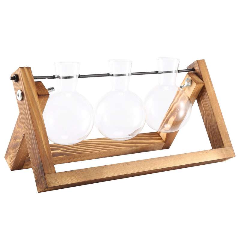 Desktop Glass Planter Bulb Vase Air Plant Terrarium with Wooden Stand for Hydroponics Plants Cuttin