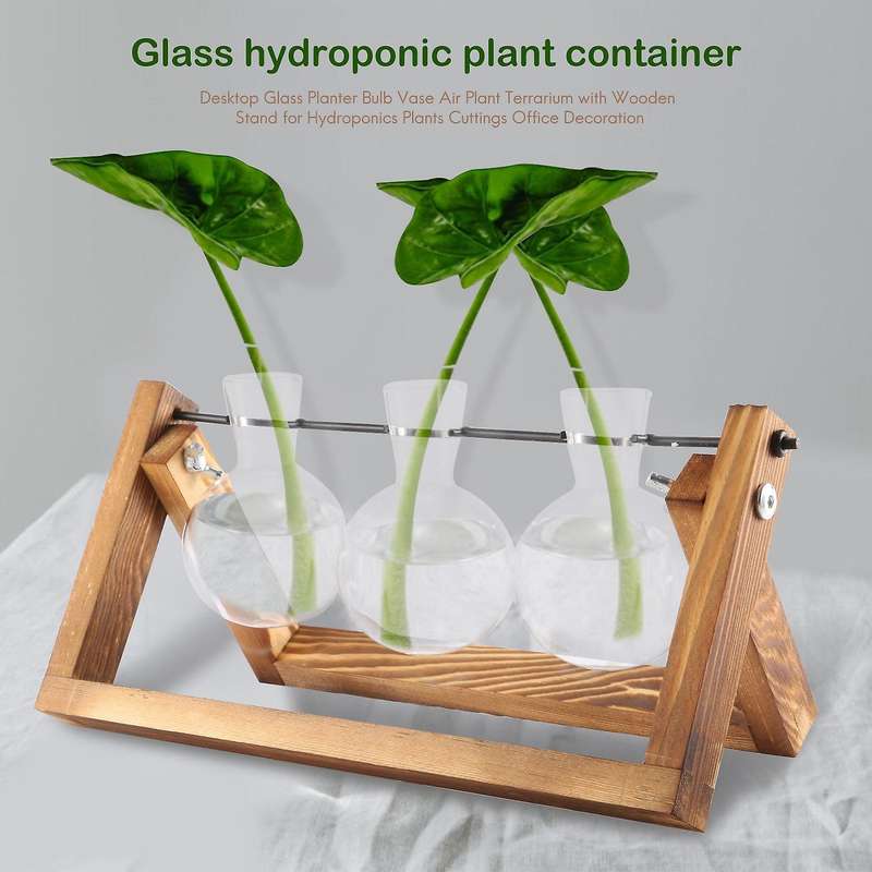 Desktop Glass Planter Bulb Vase Air Plant Terrarium with Wooden Stand for Hydroponics Plants Cuttin