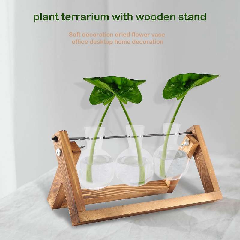 Desktop Glass Planter Bulb Vase Air Plant Terrarium with Wooden Stand for Hydroponics Plants Cuttin