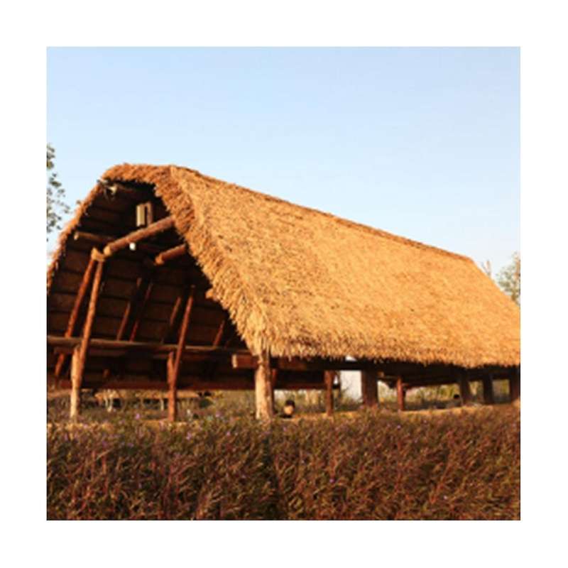 Diy Straw Roof Rug Decor Grass Mat Palm Thatch Roll Deck Decor Decorative Straw Roof Panels Shutters