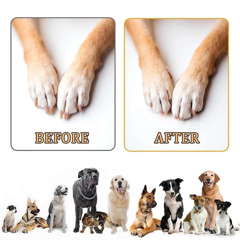 Dog Scratch Pad, Wooden Dog Grinder Scratch Pad for Nails with Snack Box Dog Nail Scratch Square Tri