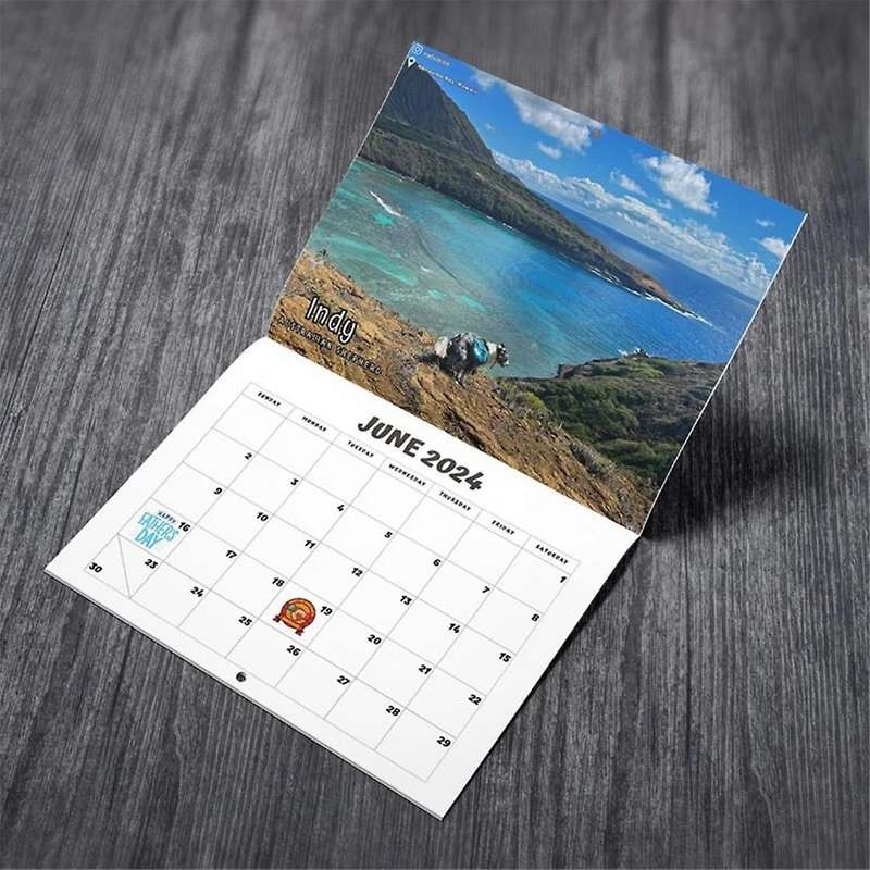 Dog Pooping In Beautiful 2024 Calendar (pre-order) - Funny Wall Art Christmas Holiday Gag Gift Pran