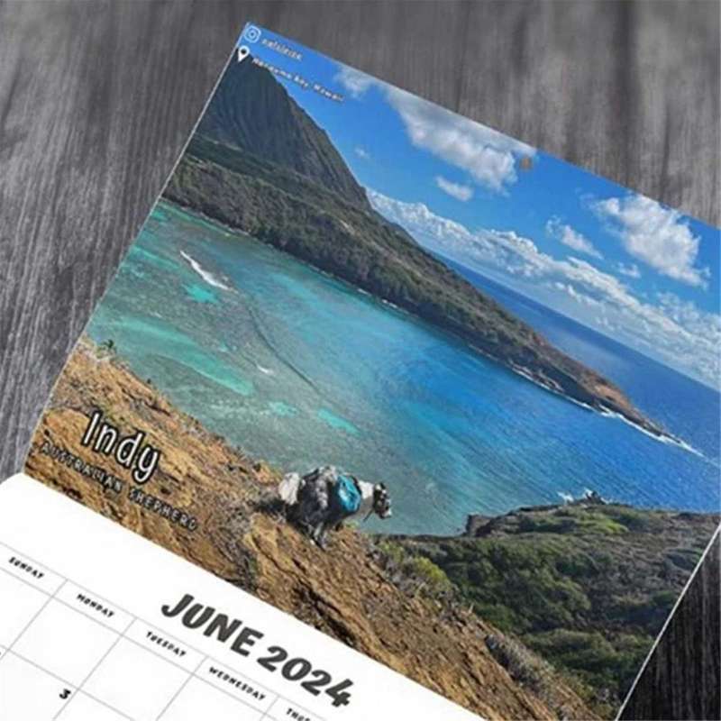 Dog Pooping In Beautiful 2024 Calendar (pre-order) - Funny Wall Art Christmas Holiday Gag Gift Pran