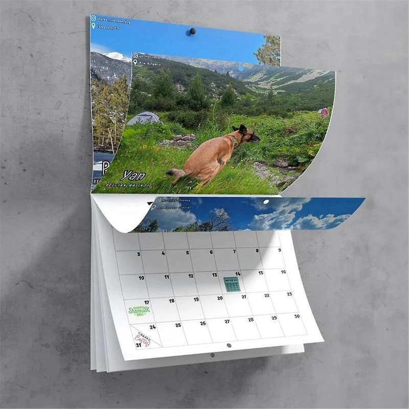 Dog Pooping In Beautiful 2024 Calendar (pre-order) - Funny Wall Art Christmas Holiday Gag Gift Pran