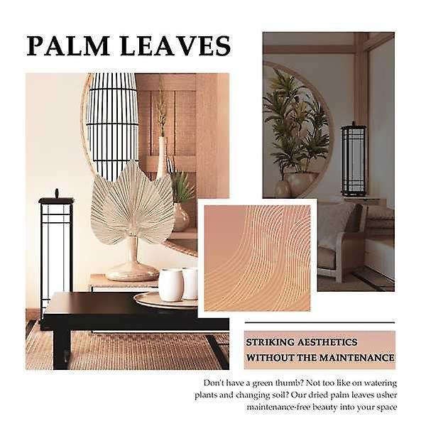 Dried Palm Leaves Room Decor 5 Pieces - 18inch H X 10inch W Large Natural Palm Leaf Decor for A Beau